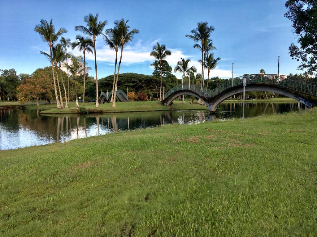 Hilo Bay Hostel Main image 2